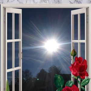 Meet your Posher, Koolhandwho